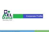 Ael Data Company Profile