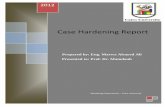 Case Hardening Report