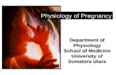 K10 - fisiologi kehamilan