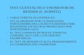 TEST GUESTÁLTICO VISOMOTOR DE BENDER
