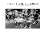 Protein Energy Malnutrition Seth