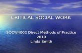 Critical  Social  Work  Seminar 2 2010[1]