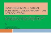 WAAPP-Nigeria Environmental and Social Screening presentation