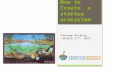 How to create the right startup ecosystem?