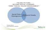 The Big Picture: Beyond Social Learning, Think Social Talent Management