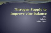 Nitrogen Suppy To Improve Vine Balance