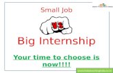 Small job vs big intern