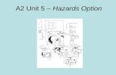 A2 unit 5 – hazards option 1