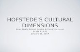 Hofstede cultural dimensions