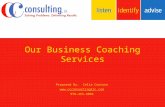 Our Business Coaching Services