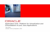Application Grid: Platform for Virtualization and Consolidation of your Java Applications