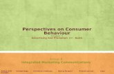 Perspectives on Consumer
