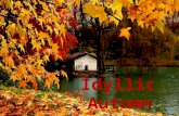 Idyllic autumn