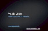 Visible voice