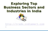 Top Business Sectors and Industries