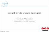 Smart grids usage scenario