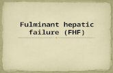 Fulminant hepatic failure (fhf)