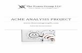 Amce analysis project