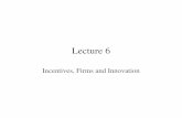 Lecture 6 - Incentives, firms and innovation
