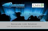 Barracuda Link Balancer Ip 20100629