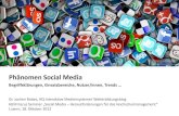 Phänomen Social Media. Begriffsklärungen, Einsatzbereiche, Nutzer/innen, Trends ...