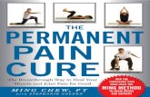 Ming Chew & Stephanie Golden - The Permanent Pain Cure