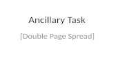 Ancillary task 2