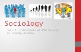 Sociology Unit 3 Individual within Society