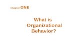 Organizational behaviour chapter 01 Stephen P. Robins