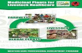 NMC WSARE Plant Herbal Medicine for Livestock Booklet ALL