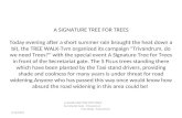 A SIGNATURE TREE FOR TREES