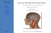 WebQuest "A Journey Through the Human Body"