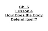 4th Grade-Ch. 5 Lesson 4 How does the Body Defend Itself