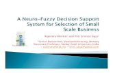 A neuro fuzzy decision support system