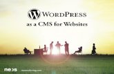 Make Your Website Work for You (July 12, 2012)