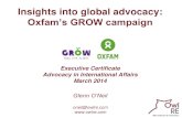Insights into global advocacy: Oxfam's GROW campaign