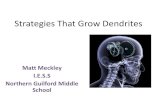 Strategies that grow dendrites