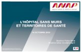 Béatrice Falise-Mirat, ANAP : L'hôpital sans murs et territoires de santé