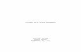 Customer Relationship Management- Honors Thesis