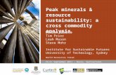 Peak minerals & resource sustainability: a cross commodity analysis