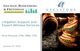 Litigation support and expert witness services