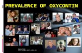 Prevalence of oxycontin final
