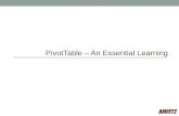 Pivot table   essential learning 2