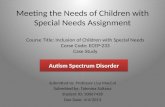 Autism case study
