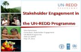 Consultation on the UN-REDD Programme Guidelines on Free, Prior and Informed Consent