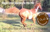 Introduction of the Pony Club HB