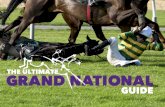 Ultimate Grand National Guide