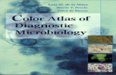 - Atlas of Diagnostic Microbiology