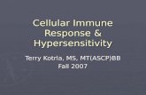 Cellular Immune Response