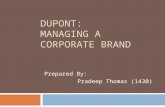 Dupont: managing a corporate brand